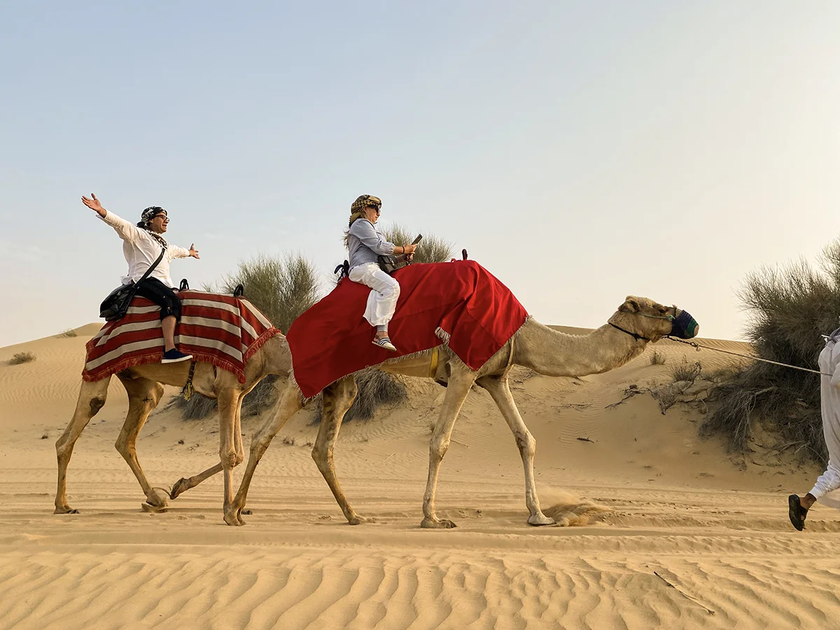 sunset camel riding and desert safari dubai
