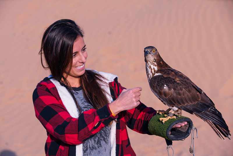 desert safari dubai luxury