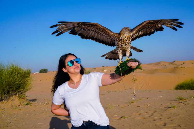 sunrise desert safari falcon picture