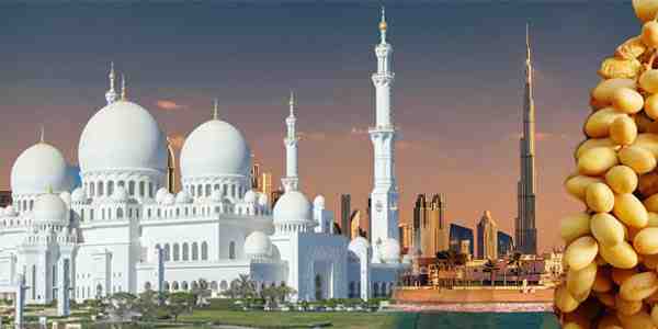 abu-dhabi-city-tour-fro