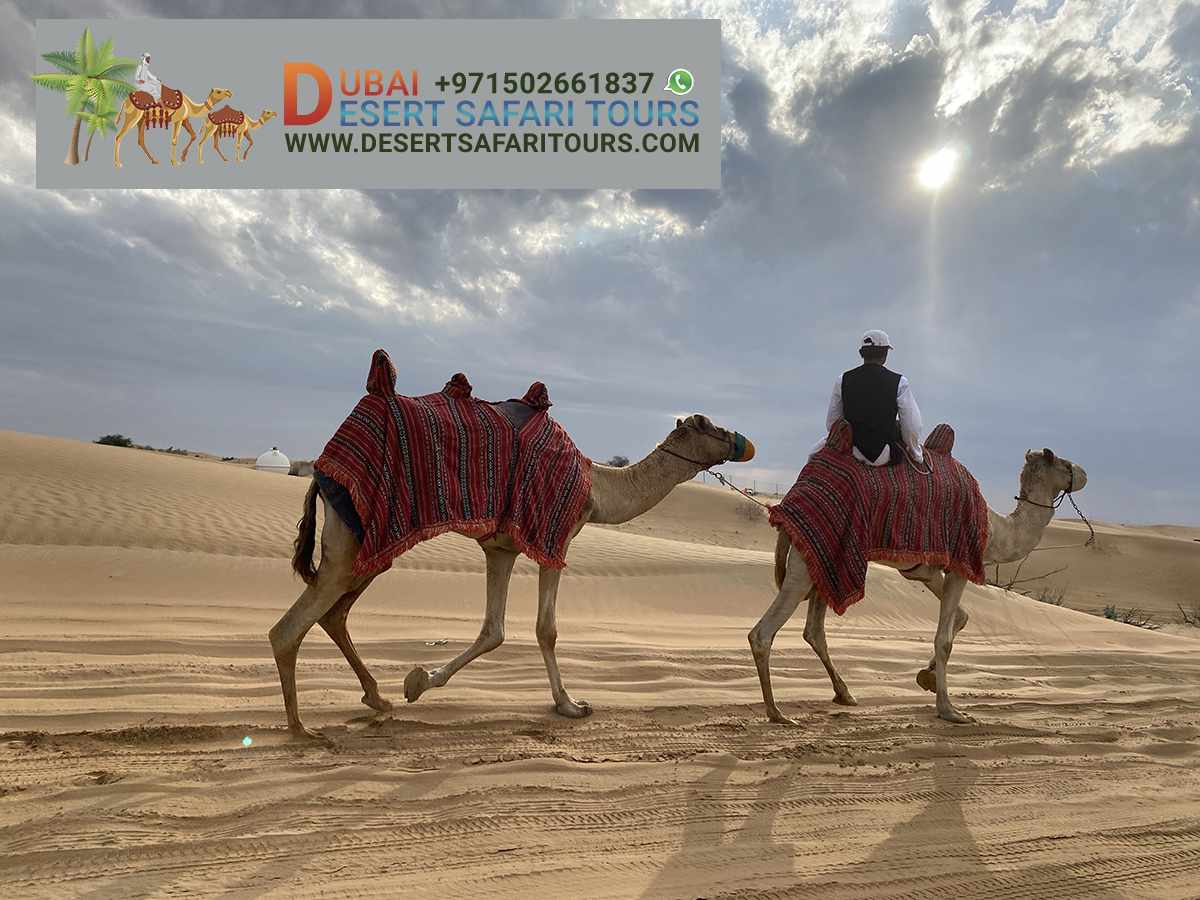 Desert Safari Dubai with bbq dinner