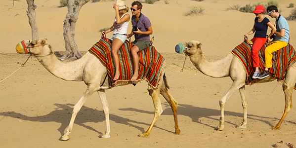 Explore Evening Desert Safari With Buffet Dinner and Belly dance