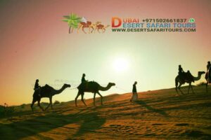 camel trekking Dubai Desert Safari