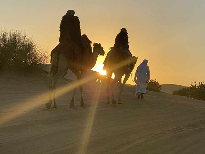 Why Should You Ride a Camel in Desert Safari 